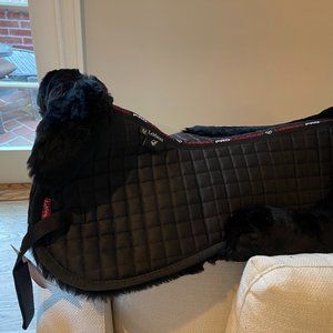 LeMieux Merino+ Half Pad Black (New) Horse